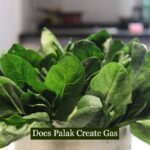 Does Palak Create Gas