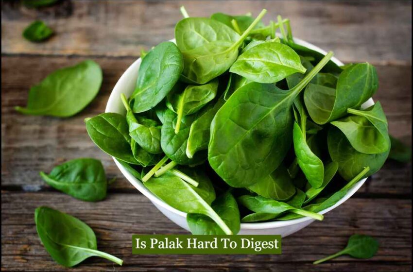 Is Palak Hard To Digest
